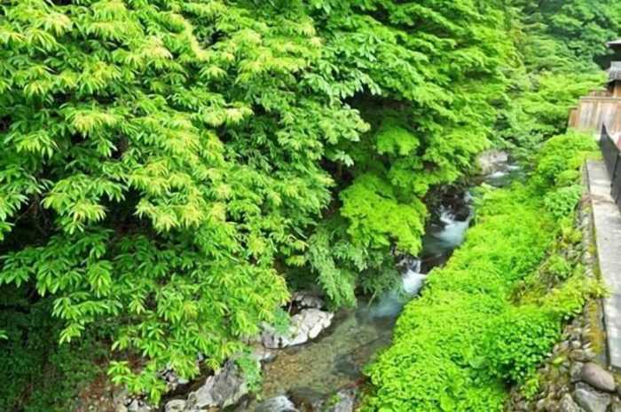 ひなたみ館 前橋