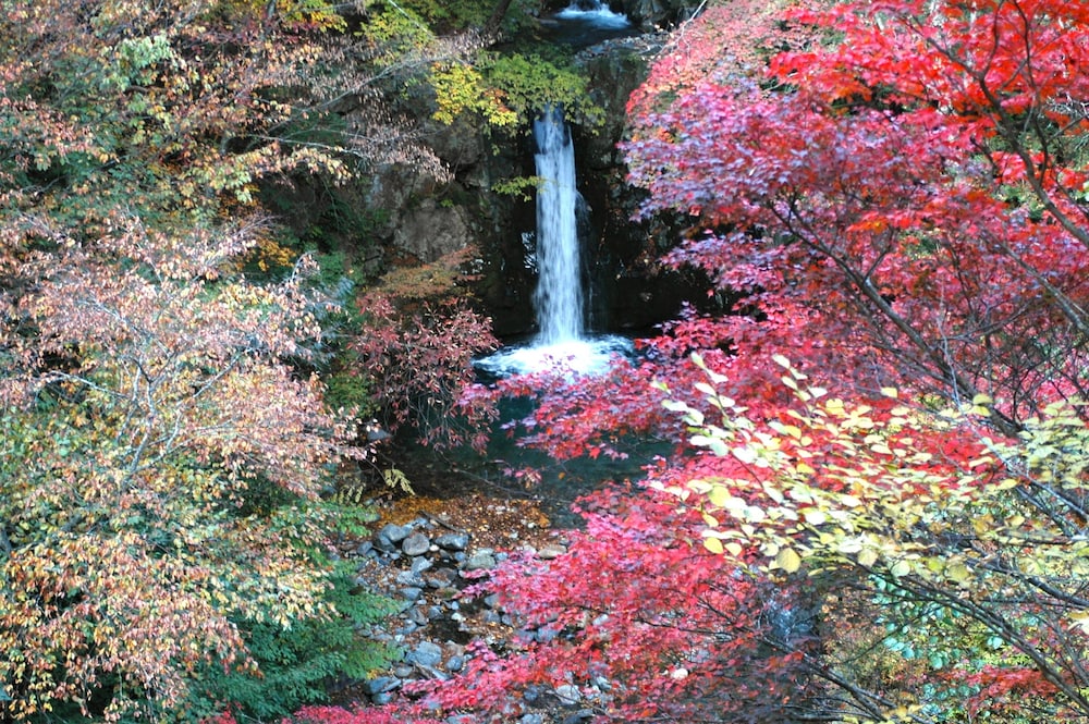 四万温泉 柏屋旅館 前橋