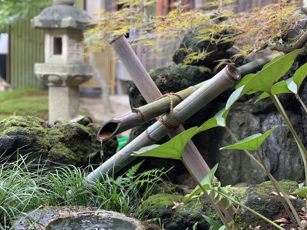宿坊 観音院 前橋