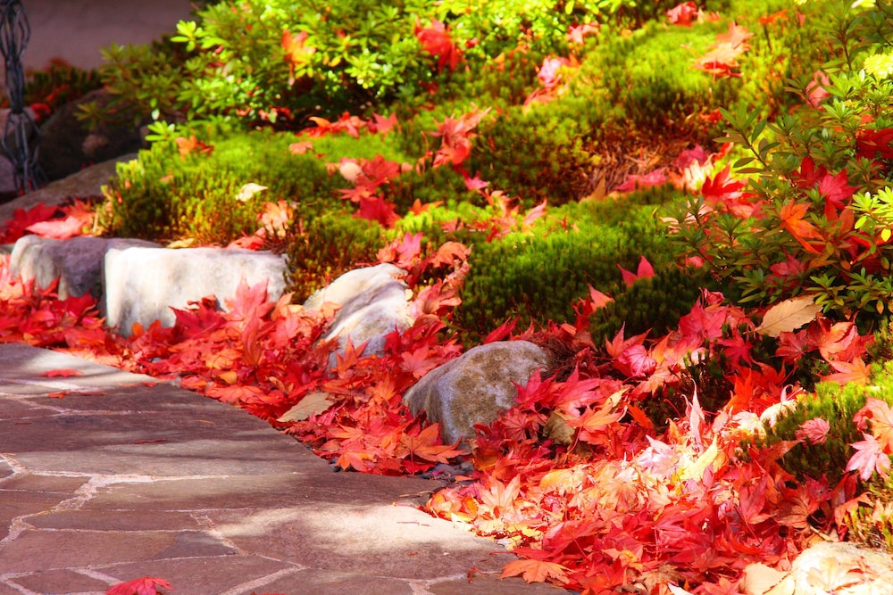 お宿 木の葉 前橋