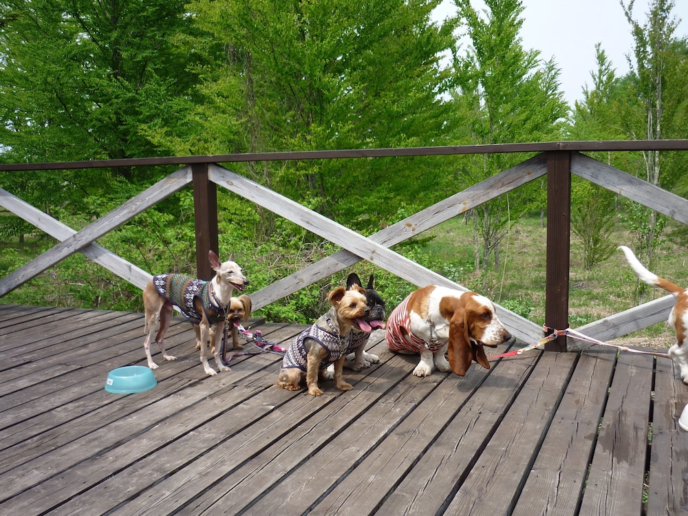 わんわんペンション KUU 前橋