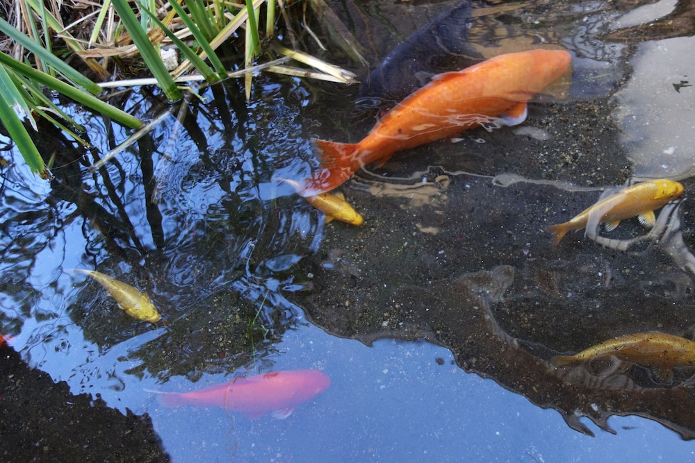 草津温泉 ひのき亭 牧水 前橋