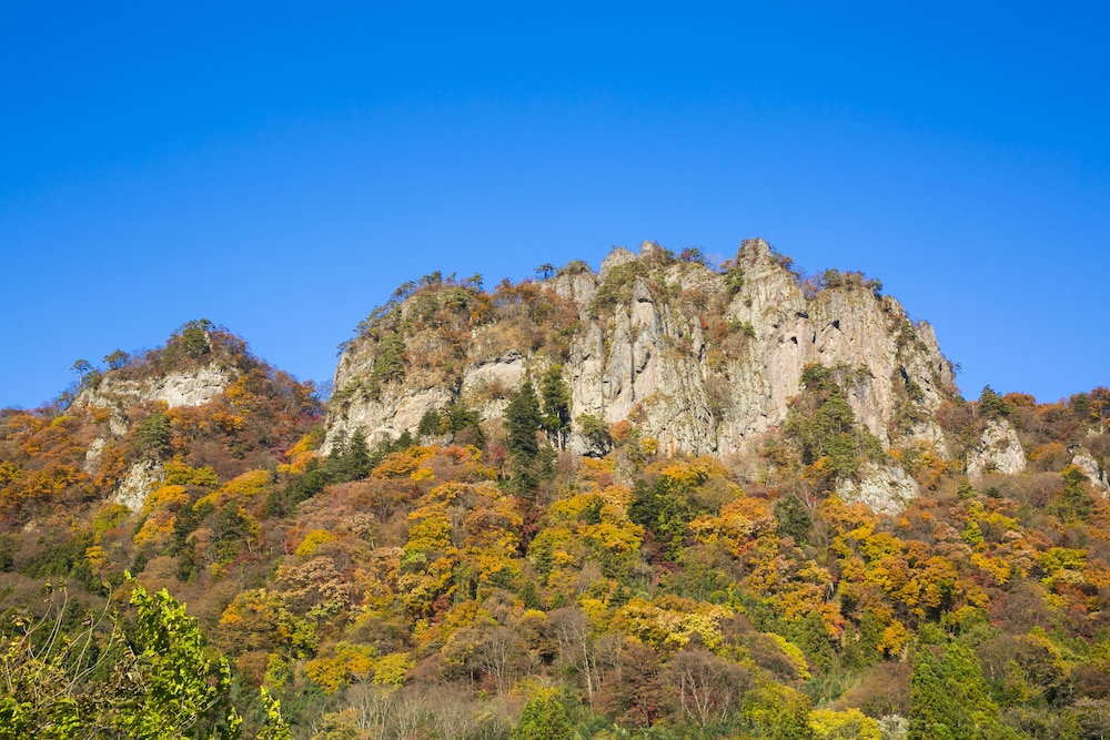 フォレストリゾート コニファーいわびつ 前橋
