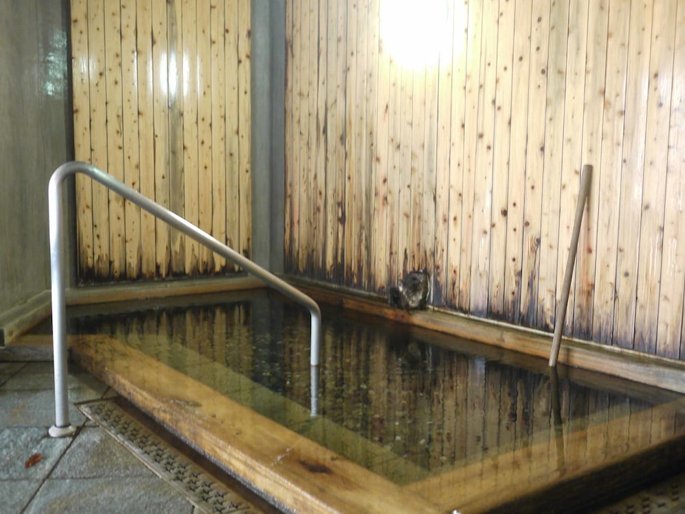 川古温泉 浜屋旅館 前橋