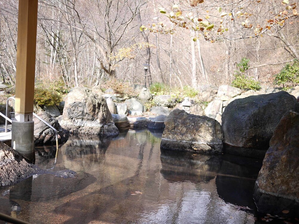 川古温泉 浜屋旅館 前橋