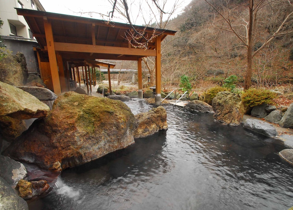 川古温泉 浜屋旅館 前橋