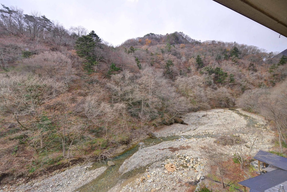 川古温泉 浜屋旅館 前橋