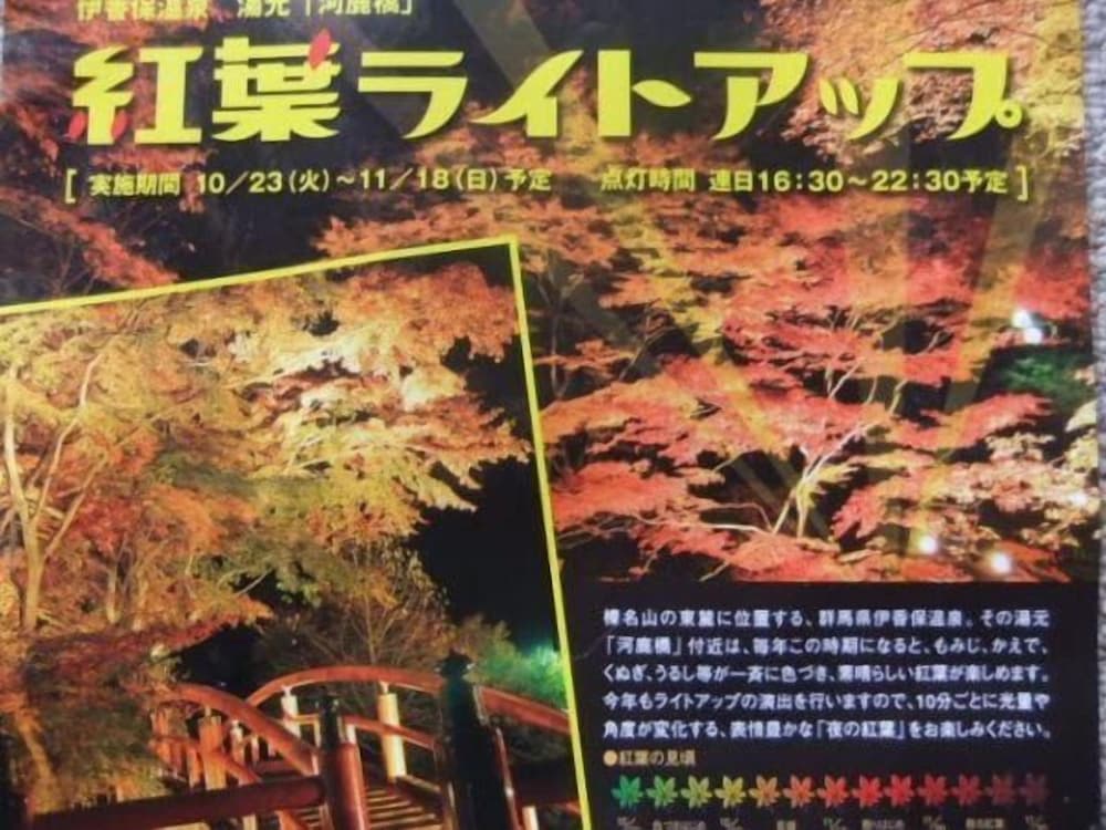 ホテルいかほ銀水 前橋