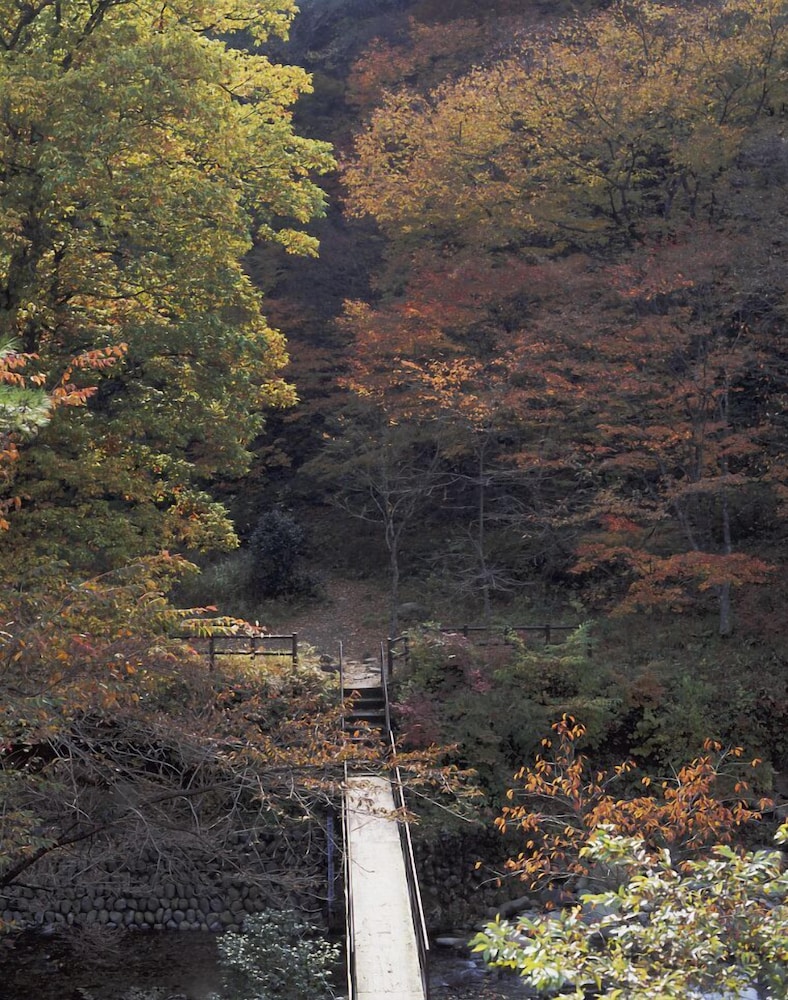 金盛館せゝらぎ 前橋