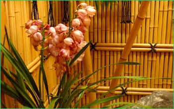 草津温泉 香旬の宿 長楽 前橋