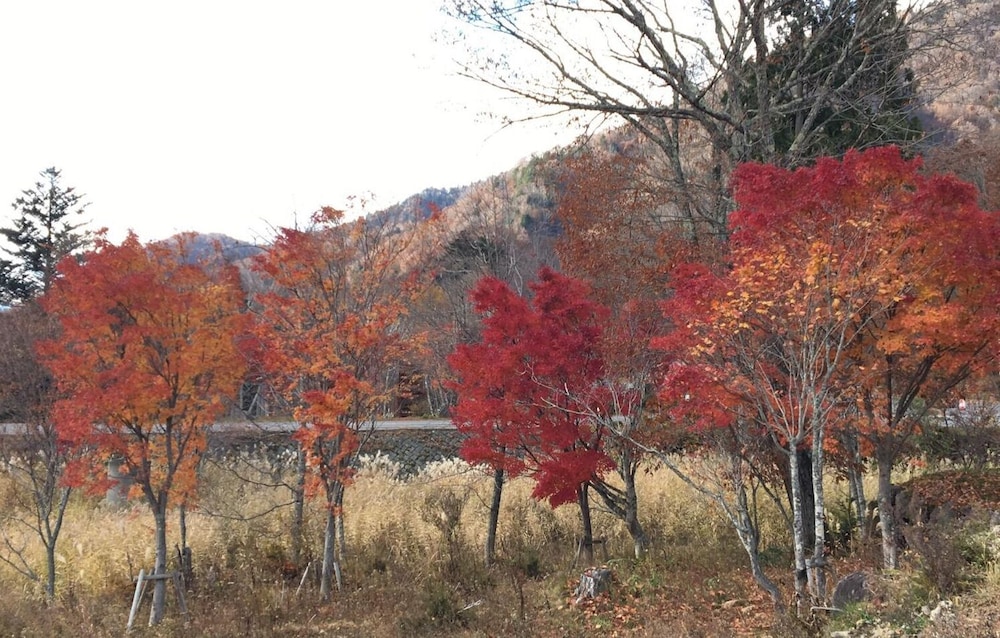 PENSION ぽかぽか 前橋