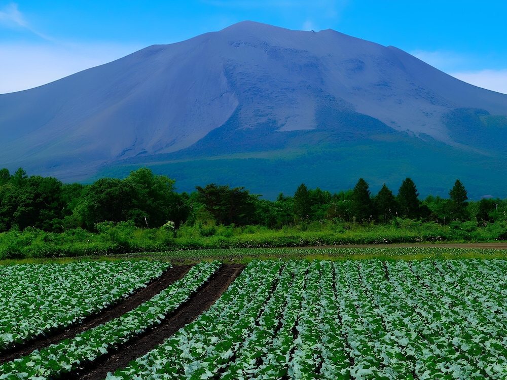 ANAホリデイ・インリゾート軽井沢 BY IHG 前橋