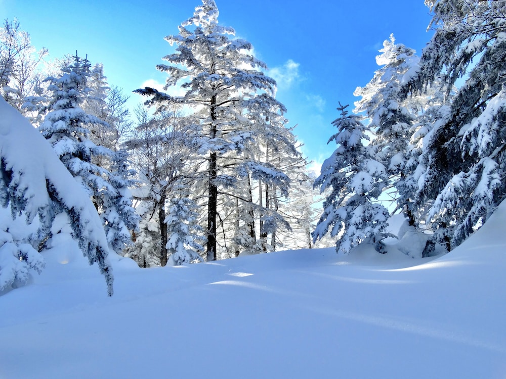 パルコールつま恋リゾート 前橋