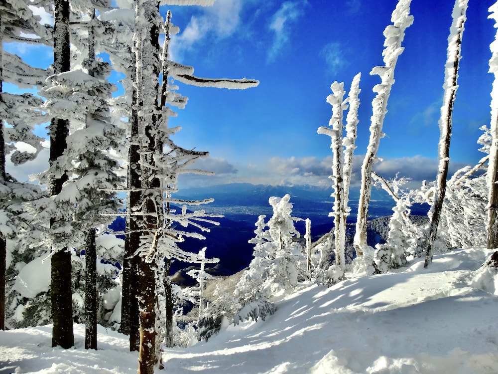 パルコールつま恋リゾート 前橋