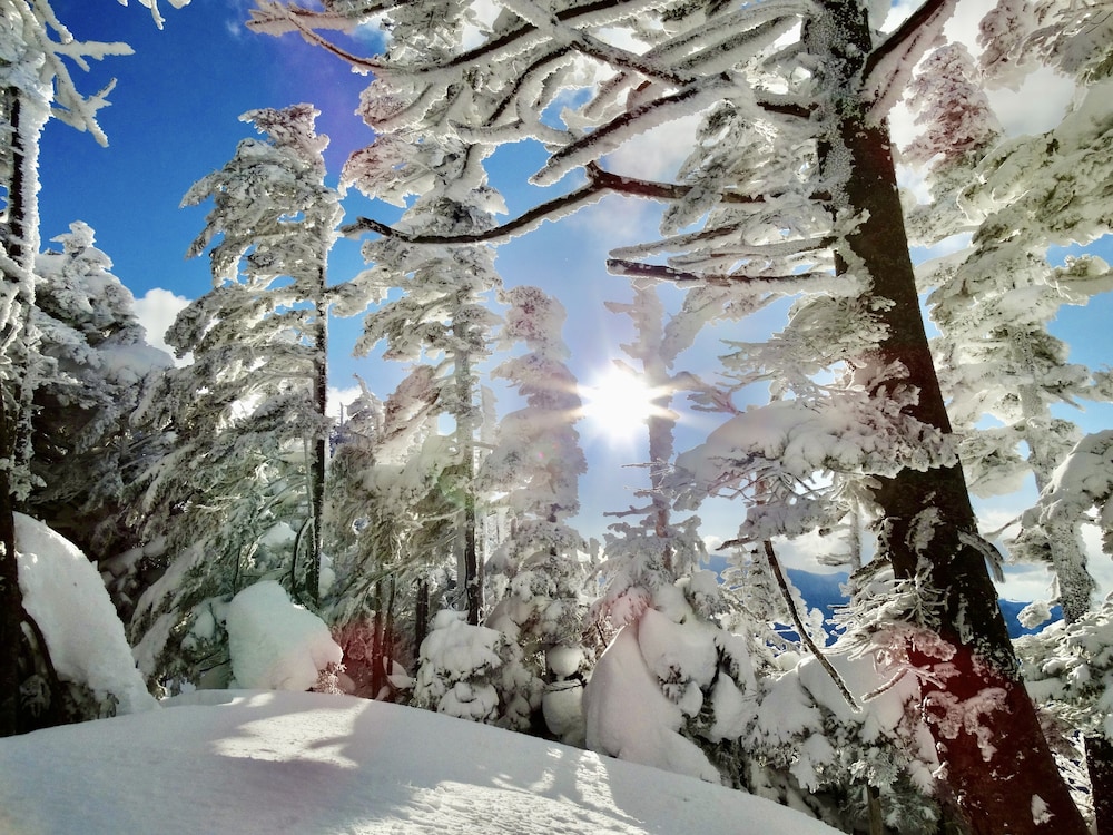 パルコールつま恋リゾート 前橋