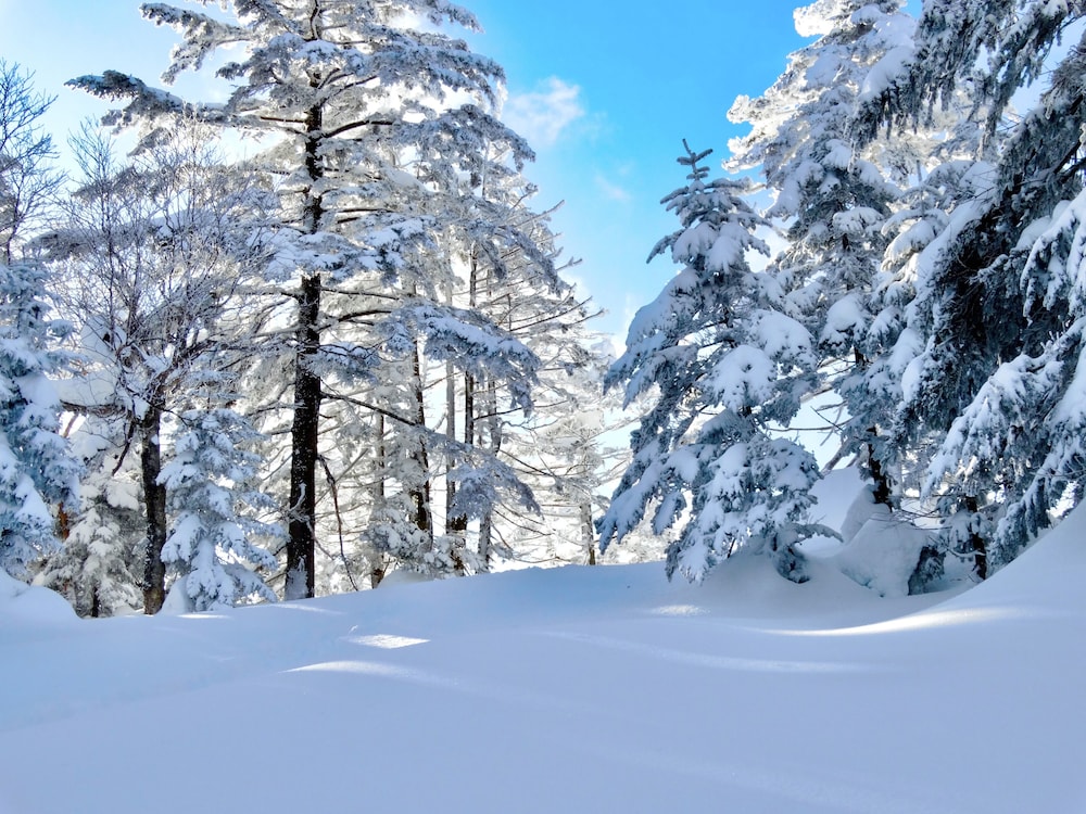 パルコールつま恋リゾート 前橋