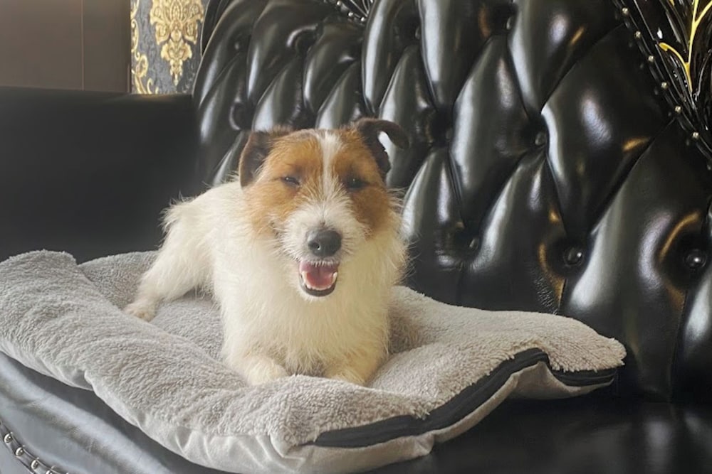 ホテル ロモサ 前橋