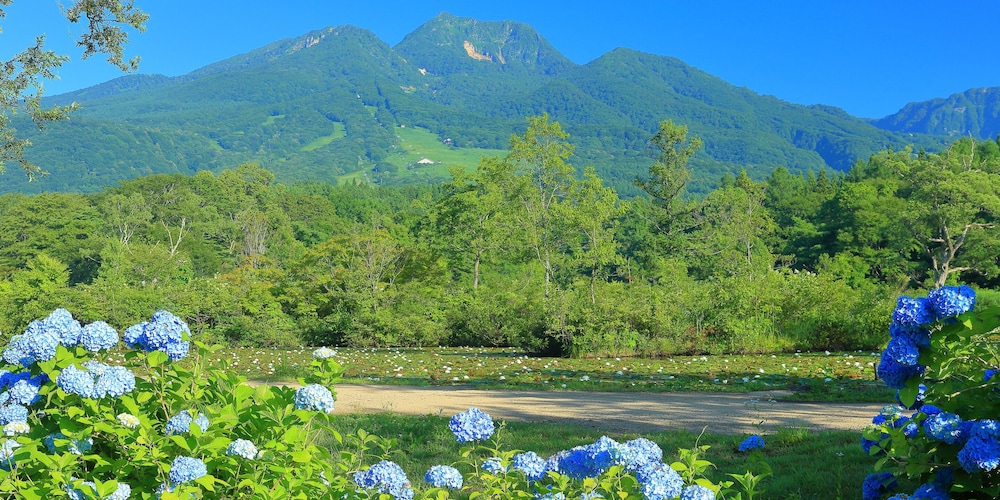 ゆの宿望月 糸魚川