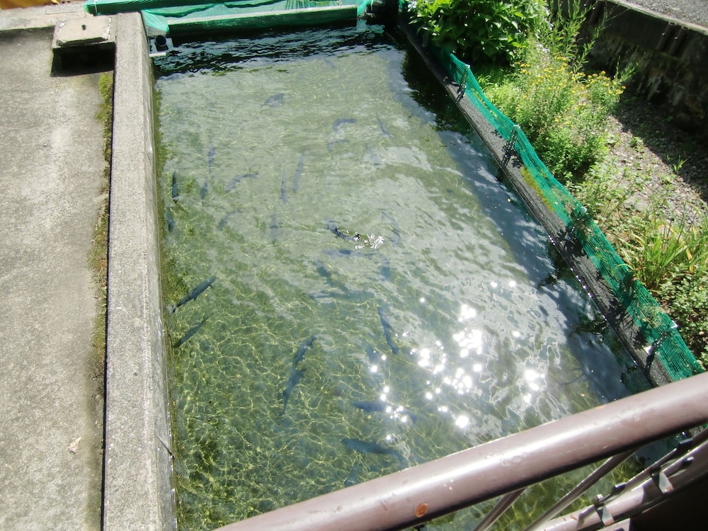 赤倉温泉源泉掛け流し 湯の宿 美鷹 糸魚川