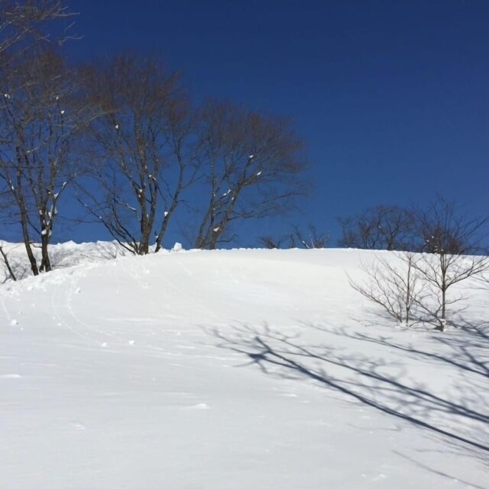 ゲストハウス ボンク 糸魚川