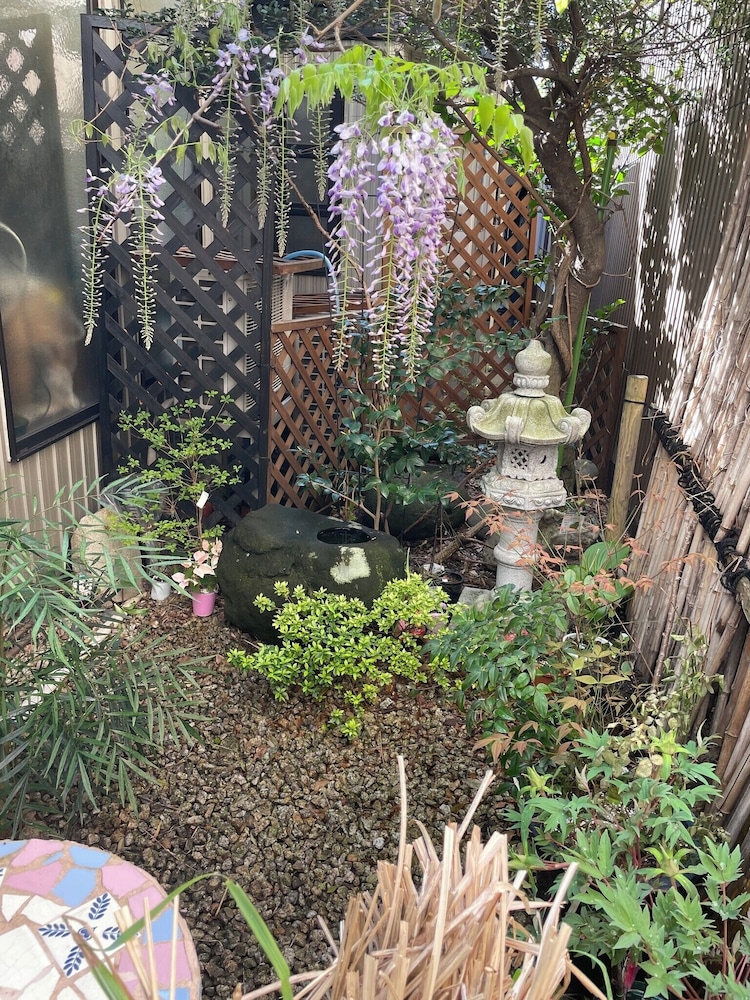 LIVE CAFE ひすいの海 糸魚川