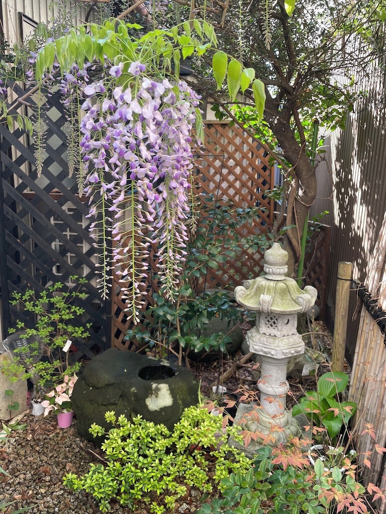 LIVE CAFE ひすいの海 糸魚川