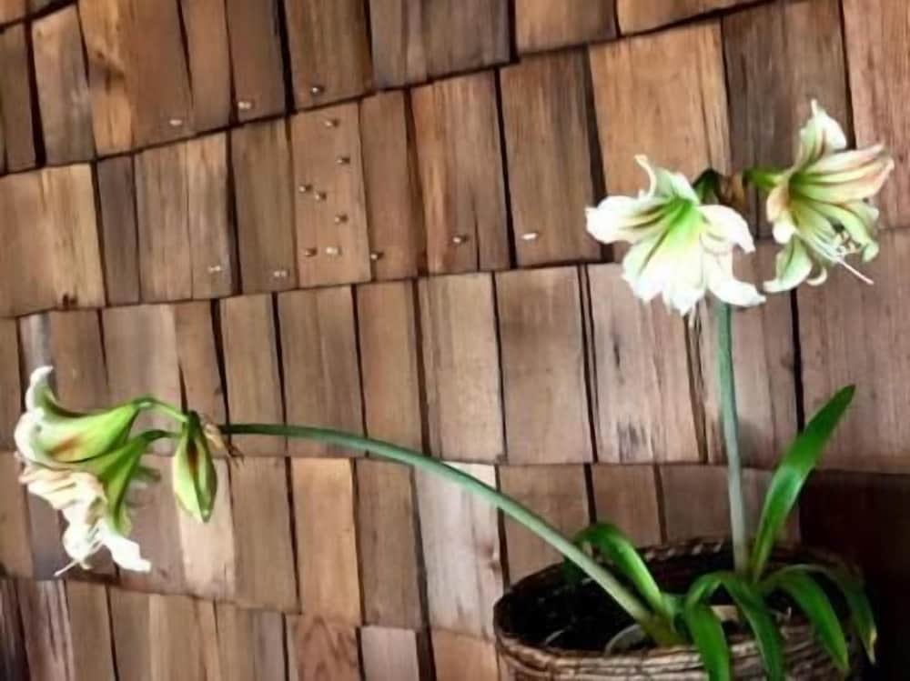 赤倉温泉ホテル後楽荘 糸魚川