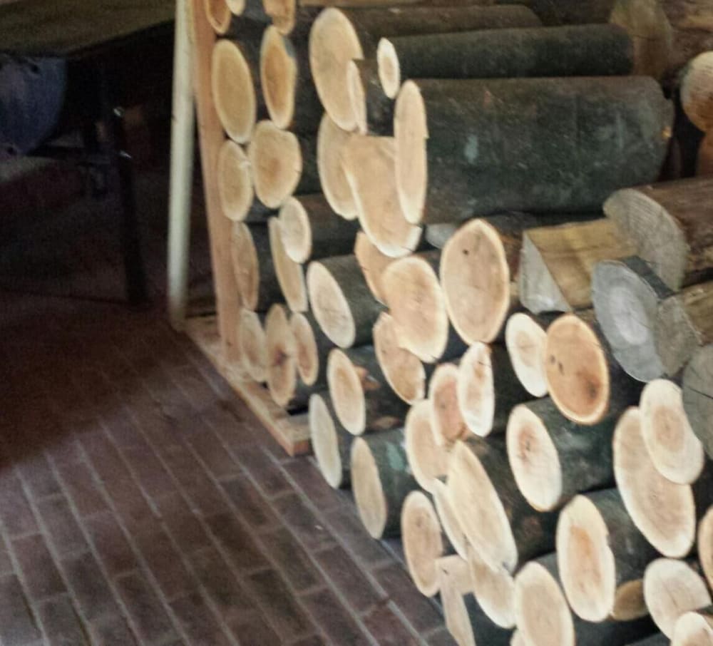 赤倉温泉ホテル後楽荘 糸魚川