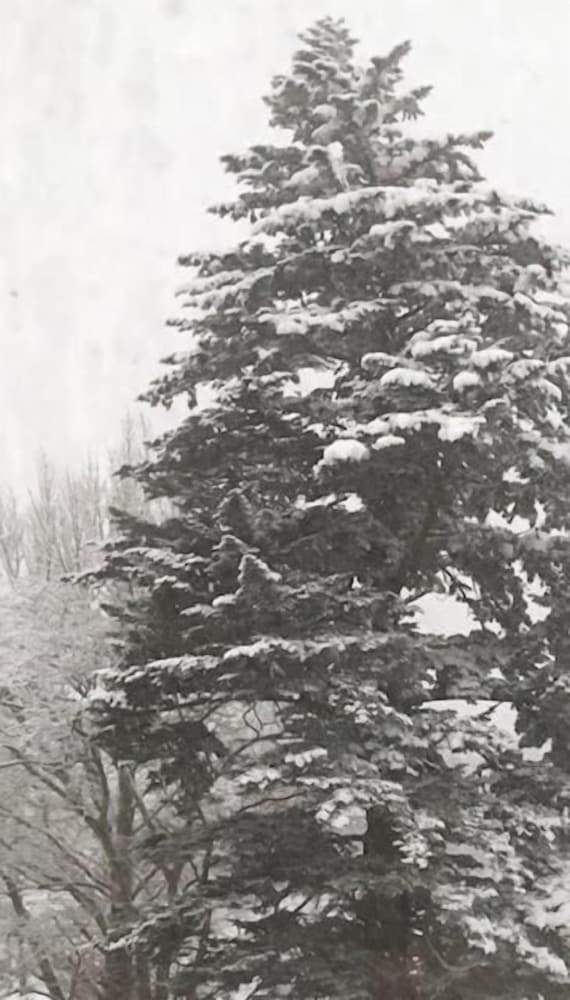 赤倉温泉ホテル後楽荘 糸魚川