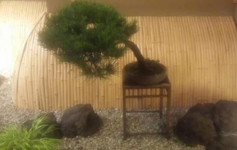 赤倉温泉ホテル後楽荘 糸魚川