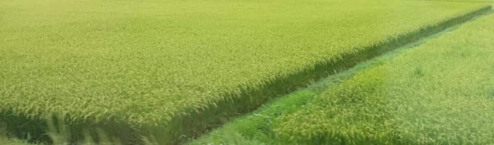 赤倉温泉ホテル後楽荘 糸魚川