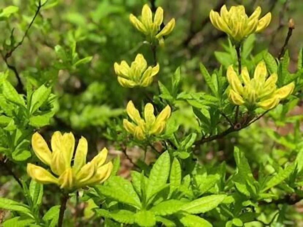 赤倉温泉ホテル後楽荘 糸魚川