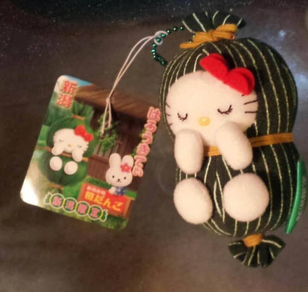 赤倉温泉ホテル後楽荘 糸魚川