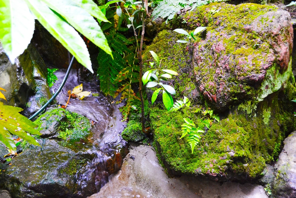 松村屋旅館 秩父