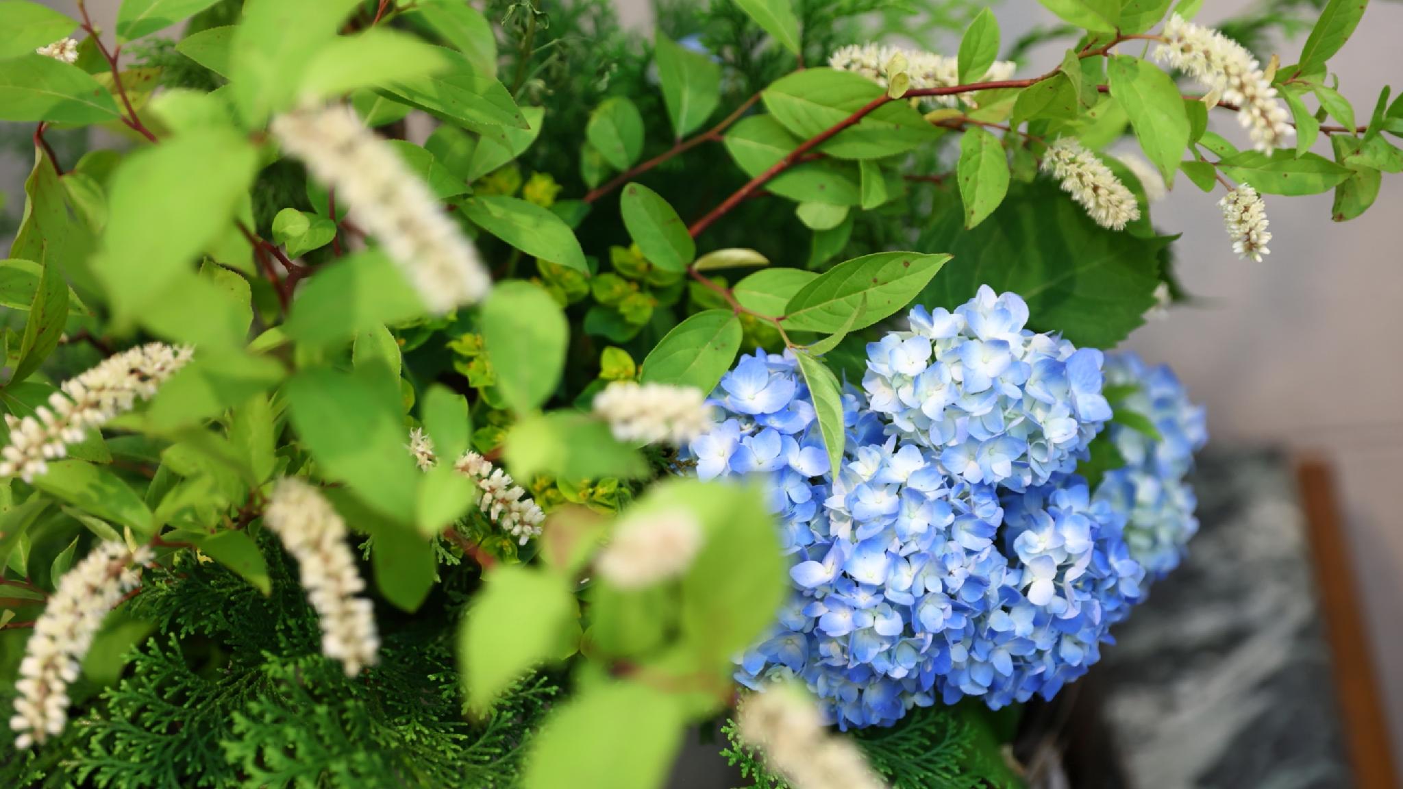 やまや 新館 秩父