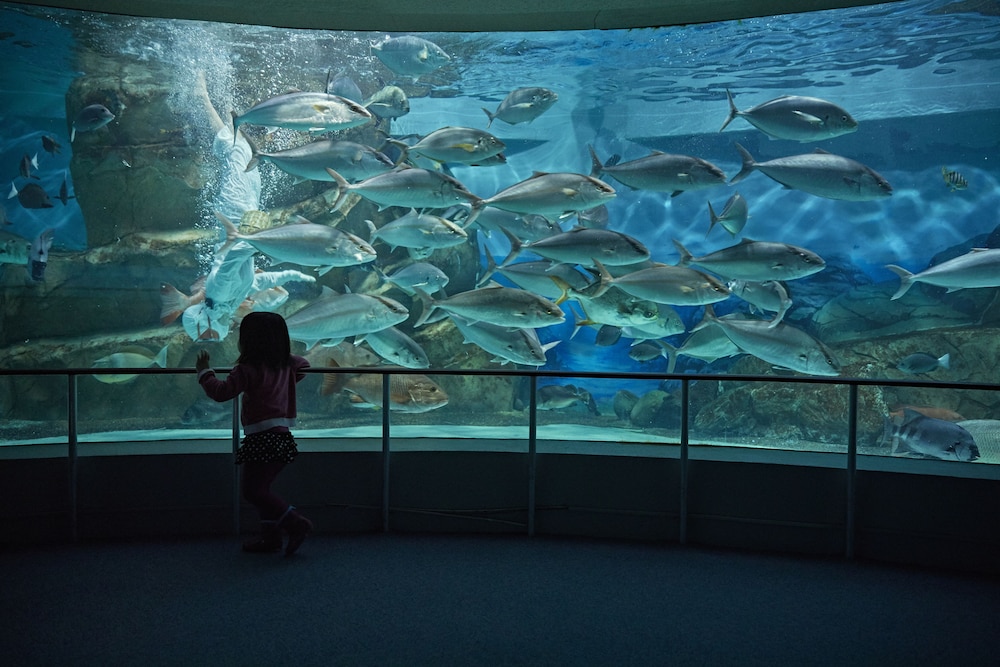 志摩観光ホテル ザ ベイスイート 志摩