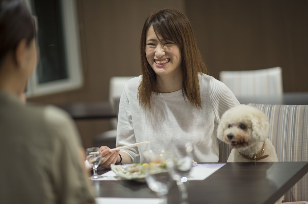 鳥羽わんわんパラダイス 志摩