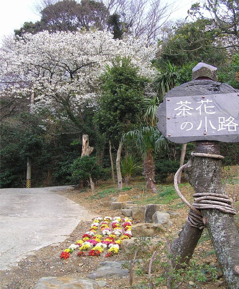 扇芳閣 志摩