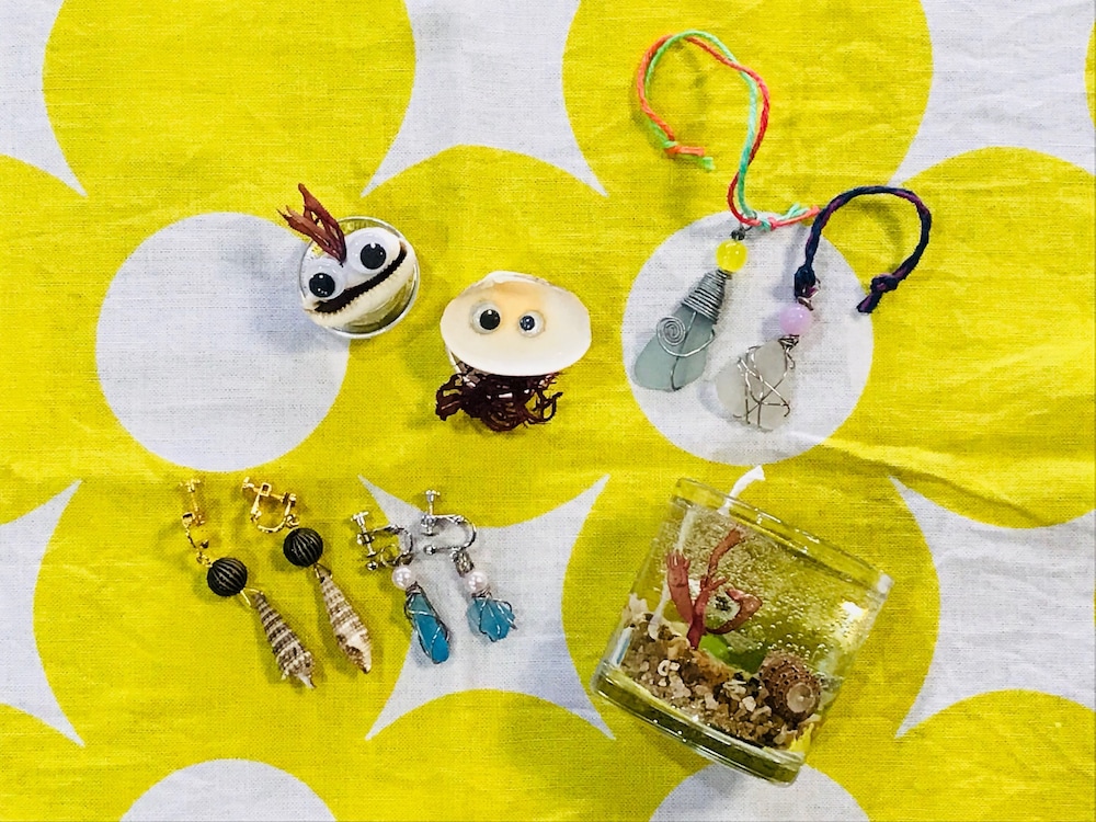 海月 志摩