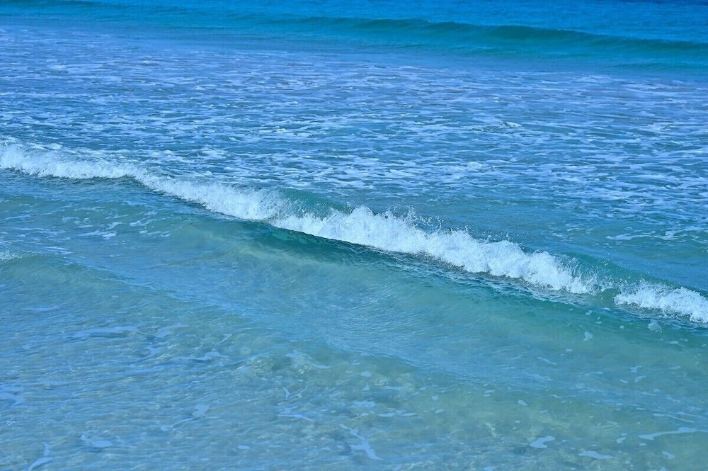 ログ ハウス 志摩 志摩