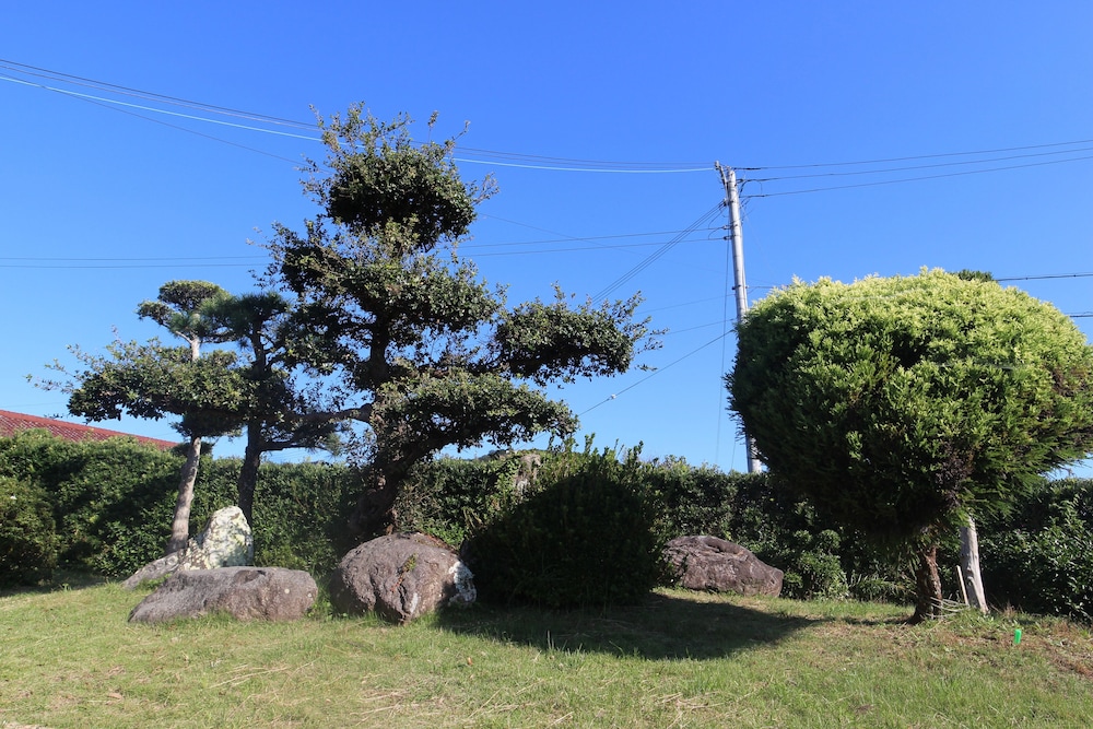 やどかり 熊野 志摩