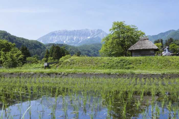 休暇村奥大山 米子