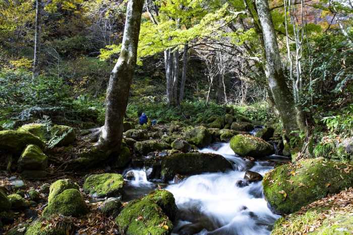 休暇村奥大山 米子