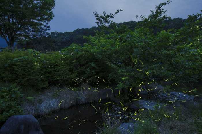 休暇村奥大山 米子
