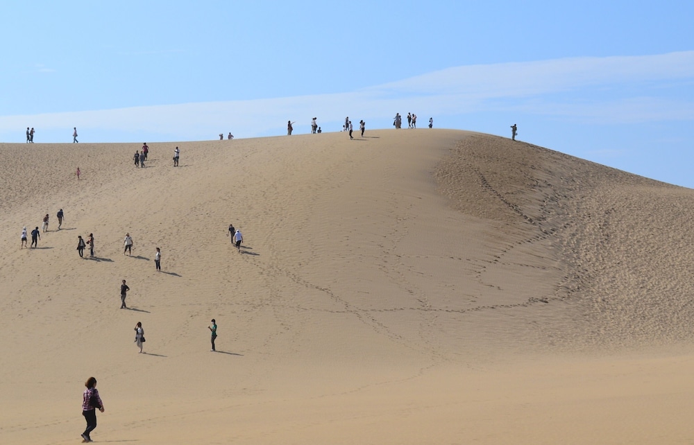 木造りの宿 橋津屋 米子