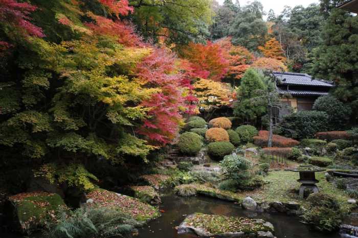 三朝温泉 依山楼岩崎 米子