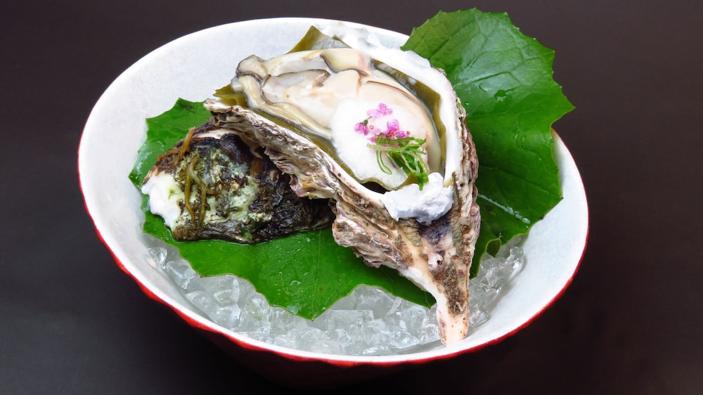 湖泉閣 養生館 米子