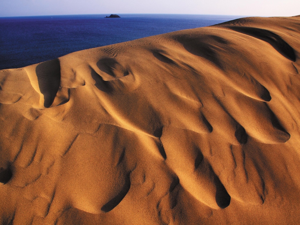 大江戸温泉物語PREMIUM 斉木別館 米子