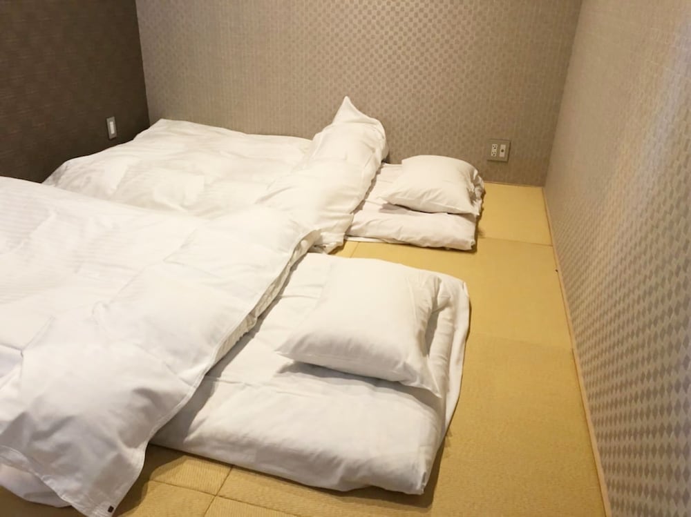 INDIGO GEOHOUSE DS1 米子