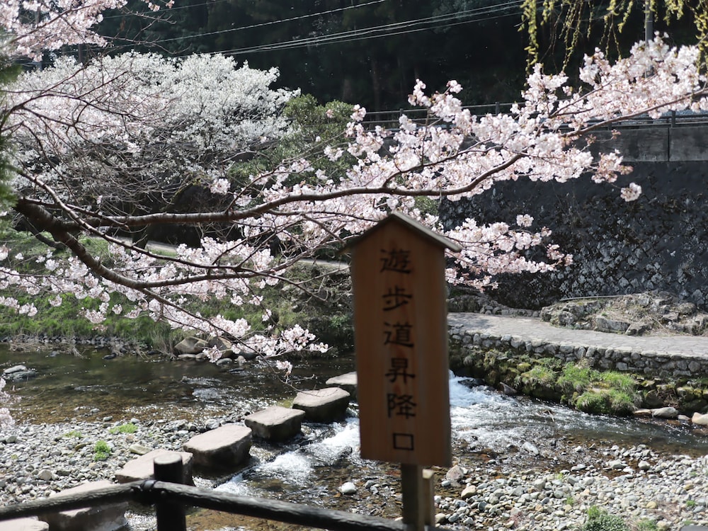 大谷山荘 山口